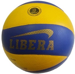 Libera 4000