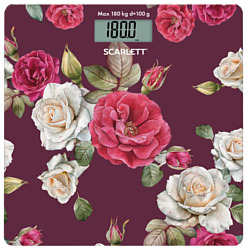 Scarlett SC-BS33E006