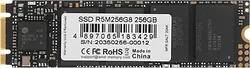 SSD AMD Radeon R5 256GB R5M256G8