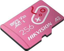 Hikvision microSDXC HS-TF-G2(STD)/256G 256GB