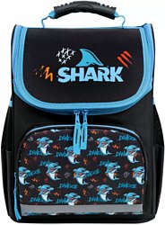 Пифагор Basic. Angry Shark 272044 Пифагор Basic. Angry Shark 272044