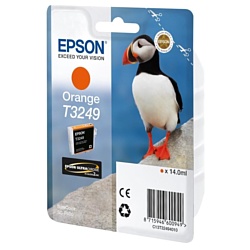 Epson C13T32494010