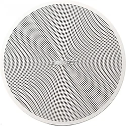 Акустическая система Bose DesignMax DM2C-LP (белый) Акустическая система Bose DesignMax DM2C-LP (белый)