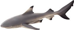 Konik Черноперая рифовая акула AMS3026