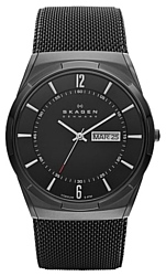 Наручные часы Skagen SKW6006