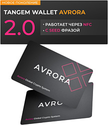 Аппаратный криптокошелек Tangem 2.0 Avrora (2 шт., черный)