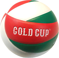 Gold Cup CV-12 (5 размер, белый/зеленый/красный)