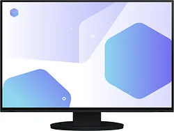 Монитор EIZO FlexScan EV2485-BK