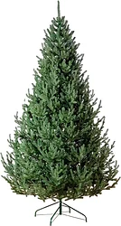 Новогодняя елка GreenTerra Элоди 2.1 м Новогодняя елка GreenTerra Элоди 2.1 м