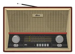 Радиоприемник Ritmix RPR-102 Радиоприемник Ritmix RPR-102