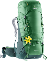 Deuter Aircontact 60+10 SL green (leaf forest)