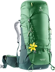 Трекинговый рюкзак Deuter Aircontact 60+10 SL green (leaf forest)