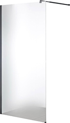 Saniteco Walk-In SN-W6MB100 (100x200, матовое стекло, черный профиль)