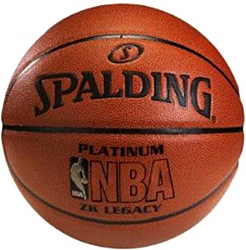 Spalding NBA Platinum Legacy (3001514010117)