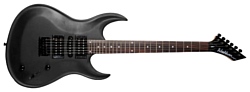 Washburn WM17