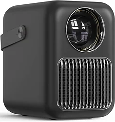 Wanbo T6R Max (черный)