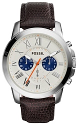 Наручные часы Fossil FS5021