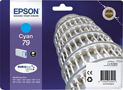 Epson C13T79124010