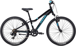 Fuji Dynamite 24 Sport (2018)