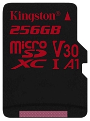 Kingston SDCR/256GB