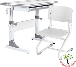 Anatomica Study-80 + стул + выдвижной ящик со стулом СУТ-01-01 фанера белый/белый (белый/серый)
