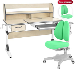 Anatomica Study-120 Lux + надстройка + органайзер + ящик с зеленым креслом Armata Duos (клен/серый)