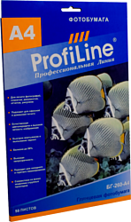 ProfiLine PL-GP-260-A4-50
