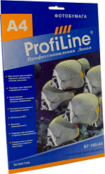 ProfiLine PL-GP-180-A4-50