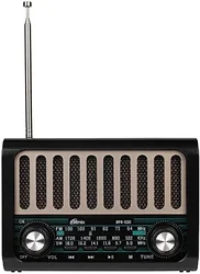 Радиоприемник Ritmix RPR-020
