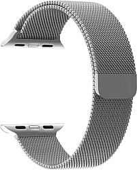 Lyambda Capella для Apple Watch 42-44 мм (серебристый)