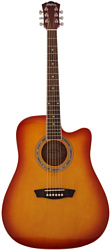 Washburn WA90C