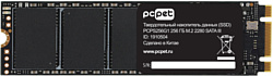 SSD диск PC Pet 256GB PCPS256G1