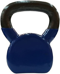 Protrain DB3077-6 6 кг