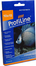 ProfiLine PL-MGMP-640-10X15-25