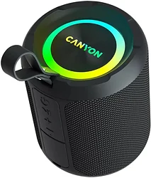 Портативная акустика Canyon Onmove 11