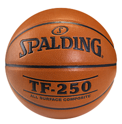 Spalding TF-250 (5 размер)