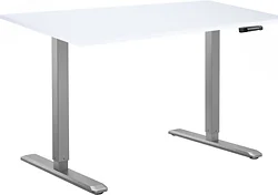 Стол для работы стоя ErgoSmart Manual DESKFIT DF100 1360х800х36 мм (альпийский белый/серый)