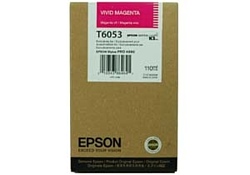 Epson C13T605300