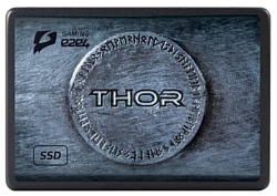 e2e4 Thor 480Gb