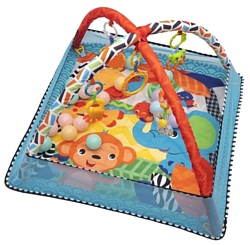 Funkids Play Ground Gym (CC9038)