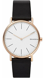 Наручные часы Skagen SKW6430