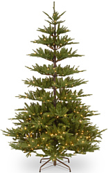 National Tree Company Glenwood Fir 2.25 м (PEGW3-307P-75)