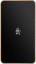 Внешний ssd SmartBuy P5 Pro SBD256P5CU3C 256GB (золотистый)