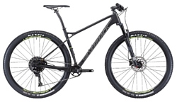 Silverback Superspeed 2 (2019)