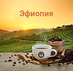 Coffee Factory Моносорт Эфиопия Lakempti GR5 в зернах 250 г
