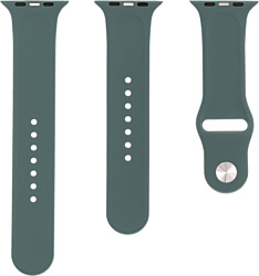 Evolution AW44-S01 для Apple Watch 42/44 мм (pine needle green)