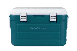 Автомобильный холодильник Арктика 2000-30 (бирюзовый)