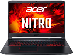 Acer Nitro 5 AN517-52-79Y1 (NH.QAWER.007)