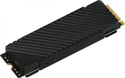 SSD диск Digma Top G3 1TB DGST4001TG33T