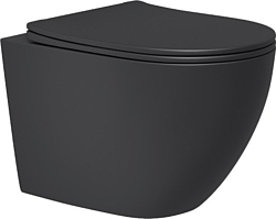 Унитаз Lauter Augsburg с жестким сиденьем Soft Close 21109EC (черный матовый, скрытое крепление) Унитаз Lauter Augsburg с жестким сиденьем Soft Close 21109EC (черный матовый, скрытое крепление)